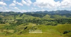 Fazenda Ótimo Investimento total 92 hectares Acesso à Represa para Pecuária | Piraí/ RJ