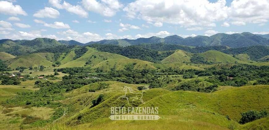 Fazenda Ótimo Investimento total 92 hectares Acesso à Represa para Pecuária | Piraí/ RJ