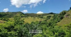 Fazenda Ótimo Investimento total 92 hectares Acesso à Represa para Pecuária | Piraí/ RJ