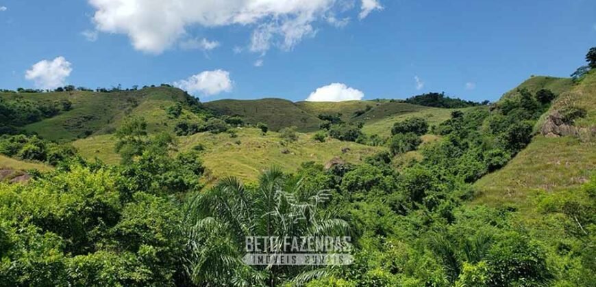 Fazenda Ótimo Investimento total 92 hectares Acesso à Represa para Pecuária | Piraí/ RJ