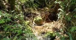 Fazenda Ótimo Investimento total 92 hectares Acesso à Represa para Pecuária | Piraí/ RJ