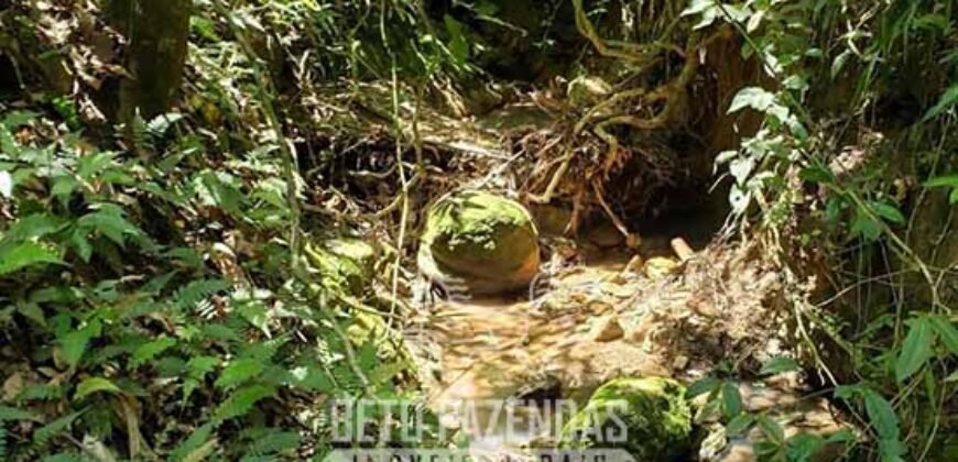 Fazenda Ótimo Investimento total 92 hectares Acesso à Represa para Pecuária | Piraí/ RJ