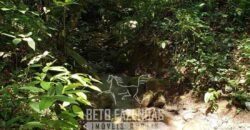 Fazenda Ótimo Investimento total 92 hectares Acesso à Represa para Pecuária | Piraí/ RJ
