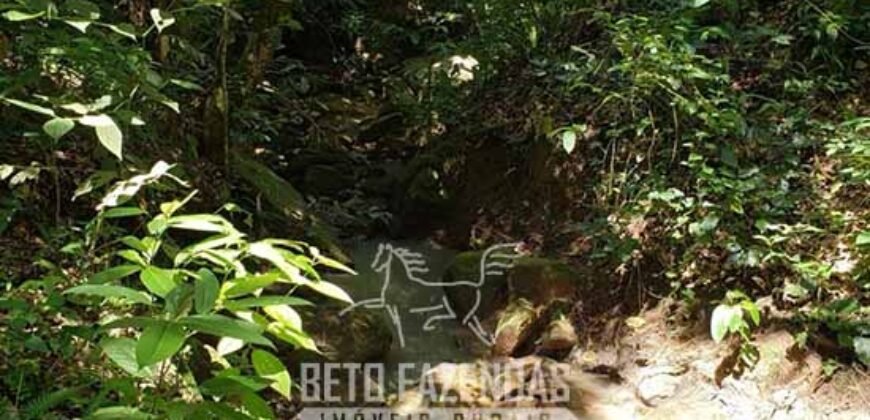 Fazenda Ótimo Investimento total 92 hectares Acesso à Represa para Pecuária | Piraí/ RJ