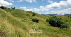 Fazenda Ótimo Investimento total 92 hectares Acesso à Represa para Pecuária | Piraí/ RJ