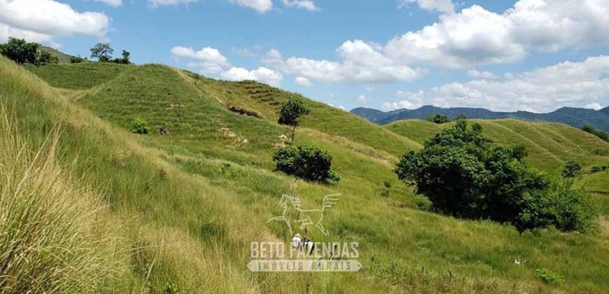 Fazenda Ótimo Investimento total 92 hectares Acesso à Represa para Pecuária | Piraí/ RJ