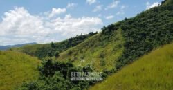 Fazenda Ótimo Investimento total 92 hectares Acesso à Represa para Pecuária | Piraí/ RJ