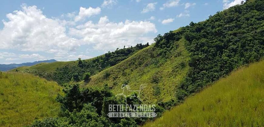 Fazenda Ótimo Investimento total 92 hectares Acesso à Represa para Pecuária | Piraí/ RJ