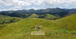 Fazenda Ótimo Investimento total 92 hectares Acesso à Represa para Pecuária | Piraí/ RJ