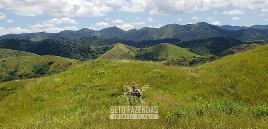 Fazenda Ótimo Investimento total 92 hectares Acesso à Represa para Pecuária | Piraí/ RJ