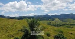 Fazenda Ótimo Investimento total 92 hectares Acesso à Represa para Pecuária | Piraí/ RJ