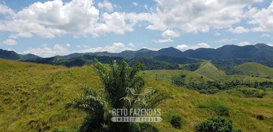 Fazenda Ótimo Investimento total 92 hectares Acesso à Represa para Pecuária | Piraí/ RJ
