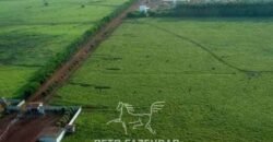 Megafazenda à Venda 142.000 hectares Dupla Aptidão e Pista de Pouso | Canabrava do Norte/MT