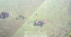 Megafazenda à Venda 142.000 hectares Dupla Aptidão e Pista de Pouso | Canabrava do Norte/MT