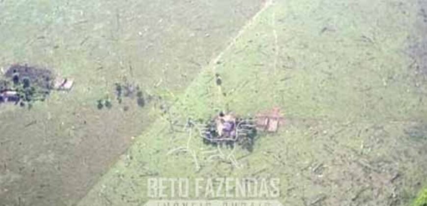 Megafazenda à Venda 142.000 hectares Dupla Aptidão e Pista de Pouso | Canabrava do Norte/MT