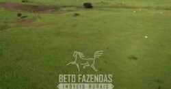 Megafazenda à Venda 142.000 hectares Dupla Aptidão e Pista de Pouso | Canabrava do Norte/MT