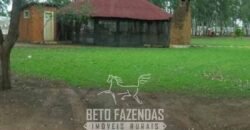 Megafazenda à Venda 142.000 hectares Dupla Aptidão e Pista de Pouso | Canabrava do Norte/MT