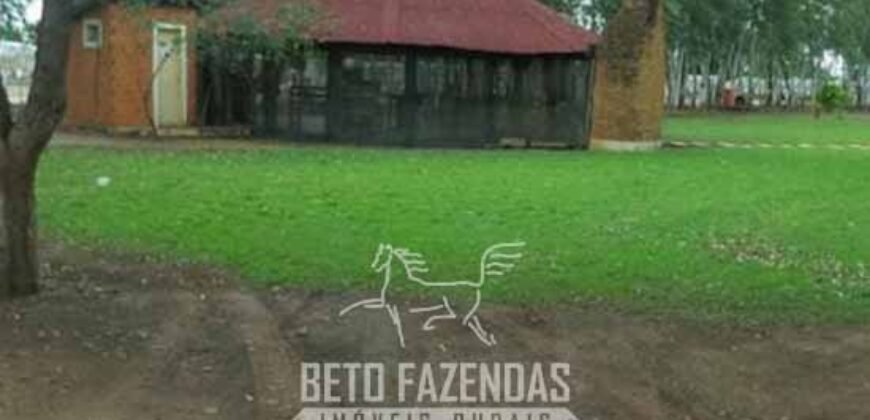 Megafazenda à Venda 142.000 hectares Dupla Aptidão e Pista de Pouso | Canabrava do Norte/MT