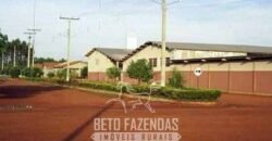 Megafazenda à Venda 142.000 hectares Dupla Aptidão e Pista de Pouso | Canabrava do Norte/MT