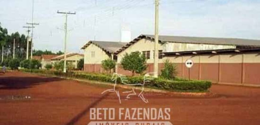 Megafazenda à Venda 142.000 hectares Dupla Aptidão e Pista de Pouso | Canabrava do Norte/MT