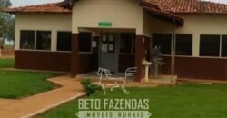 Megafazenda à Venda 142.000 hectares Dupla Aptidão e Pista de Pouso | Canabrava do Norte/MT