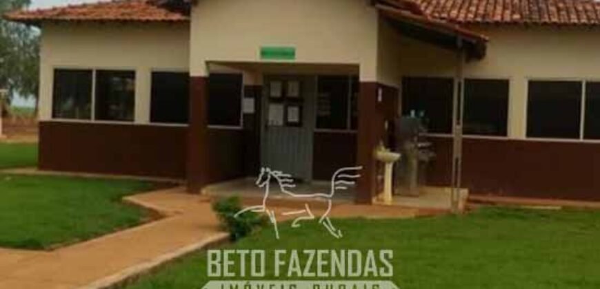 Megafazenda à Venda 142.000 hectares Dupla Aptidão e Pista de Pouso | Canabrava do Norte/MT