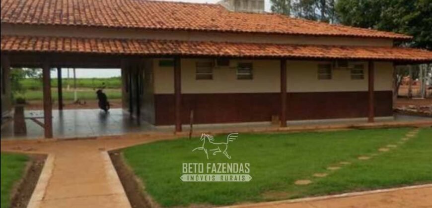 Megafazenda à Venda 142.000 hectares Dupla Aptidão e Pista de Pouso | Canabrava do Norte/MT