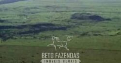 Megafazenda à Venda 142.000 hectares Dupla Aptidão e Pista de Pouso | Canabrava do Norte/MT