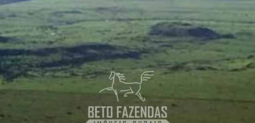 Megafazenda à Venda 142.000 hectares Dupla Aptidão e Pista de Pouso | Canabrava do Norte/MT