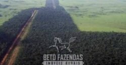 Megafazenda à Venda 142.000 hectares Dupla Aptidão e Pista de Pouso | Canabrava do Norte/MT