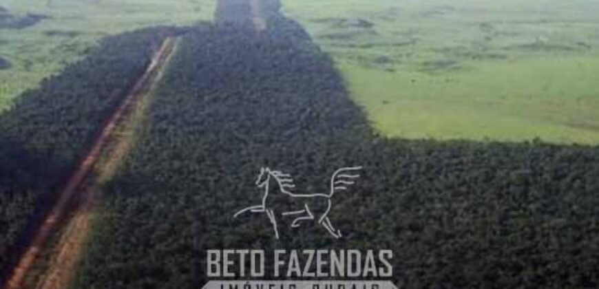 Megafazenda à Venda 142.000 hectares Dupla Aptidão e Pista de Pouso | Canabrava do Norte/MT
