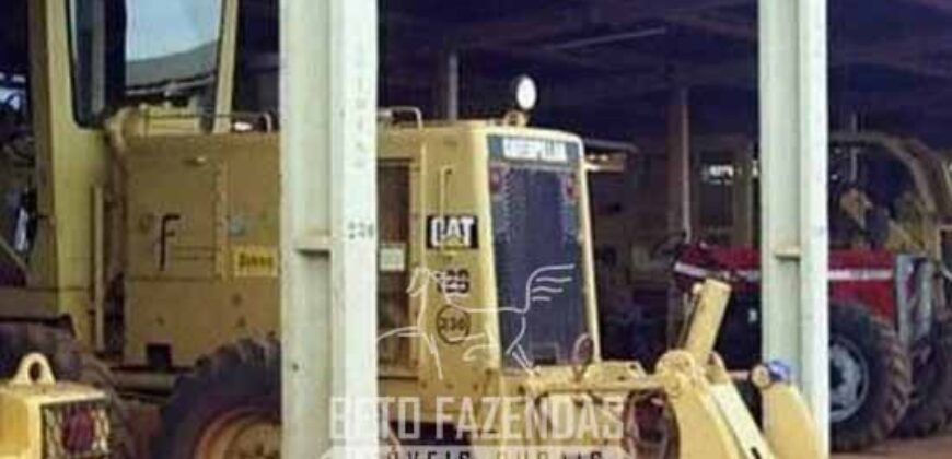 Megafazenda à Venda 142.000 hectares Dupla Aptidão e Pista de Pouso | Canabrava do Norte/MT