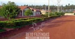 Megafazenda à Venda 142.000 hectares Dupla Aptidão e Pista de Pouso | Canabrava do Norte/MT