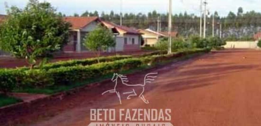 Megafazenda à Venda 142.000 hectares Dupla Aptidão e Pista de Pouso | Canabrava do Norte/MT