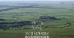 Megafazenda à Venda 142.000 hectares Dupla Aptidão e Pista de Pouso | Canabrava do Norte/MT