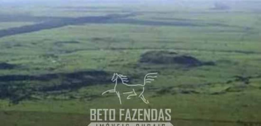 Megafazenda à Venda 142.000 hectares Dupla Aptidão e Pista de Pouso | Canabrava do Norte/MT