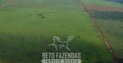 Megafazenda à Venda 142.000 hectares Dupla Aptidão e Pista de Pouso | Canabrava do Norte/MT