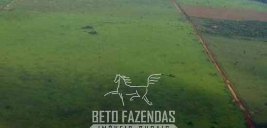 Megafazenda à Venda 142.000 hectares Dupla Aptidão e Pista de Pouso | Canabrava do Norte/MT