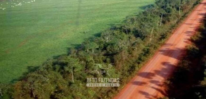 Megafazenda à Venda 142.000 hectares Dupla Aptidão e Pista de Pouso | Canabrava do Norte/MT