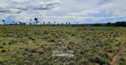 Fazenda à Venda 9.600 hectares Vocação Agrícola e Pista de Pouso | Nova Maringá/MT