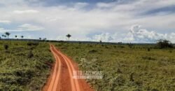 Fazenda à Venda 9.600 hectares Vocação Agrícola e Pista de Pouso | Nova Maringá/MT