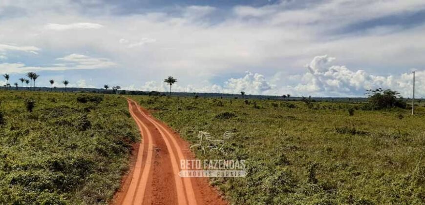 Fazenda à Venda 9.600 hectares Vocação Agrícola e Pista de Pouso | Nova Maringá/MT