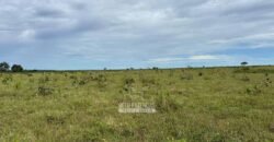 Fazenda à Venda 9.600 hectares Vocação Agrícola e Pista de Pouso | Nova Maringá/MT
