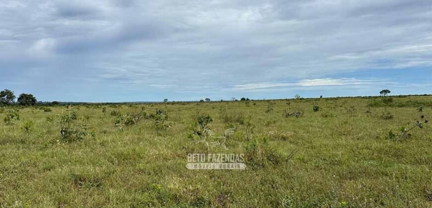 Fazenda à Venda 9.600 hectares Vocação Agrícola e Pista de Pouso | Nova Maringá/MT