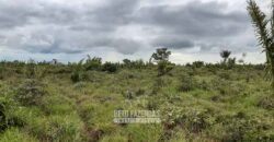 Fazenda à Venda 9.600 hectares Vocação Agrícola e Pista de Pouso | Nova Maringá/MT