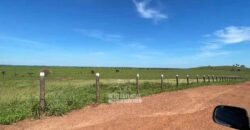 Fazenda à Venda 9.600 hectares Vocação Agrícola e Pista de Pouso | Nova Maringá/MT