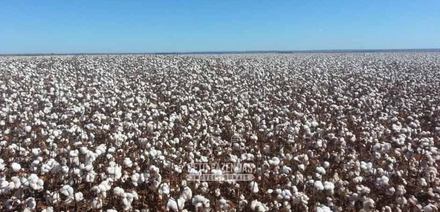 Para Investidores: Fazenda 26.000 hectares de Alta Produtividade | Nova Mutum/ MT