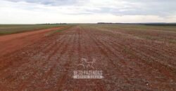 Para Investidores: Fazenda 26.000 hectares de Alta Produtividade | Nova Mutum/ MT