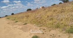 Fazenda de Dupla Aptidão 13.750 hectares | Entre Xique-Xique e Morpará/ BA