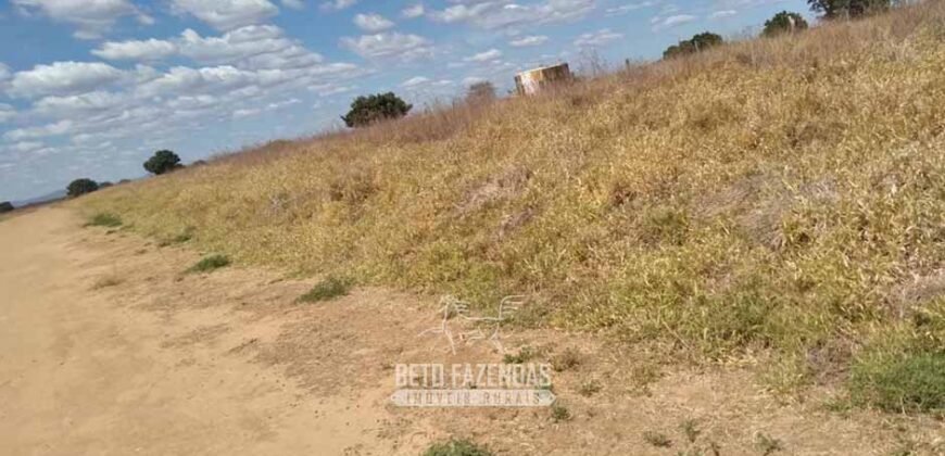 Fazenda de Dupla Aptidão 13.750 hectares | Entre Xique-Xique e Morpará/ BA
